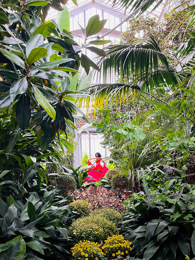 Ett växthus fyllt av lummiga gröna växter. Längst bort i bilden dansar en kvinna i röd klänning.